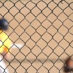 stowarzyszeniealtius (50)